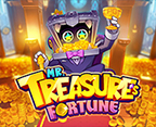 Mr. Treasure`s Fortune